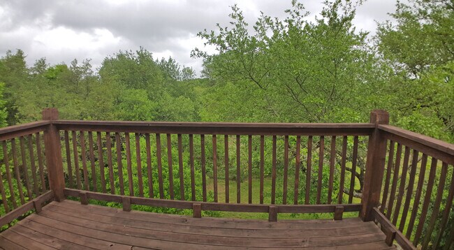 Building Photo - Secluded Hill Country home on huge lot!  Gorgeous home in tranquil setting!