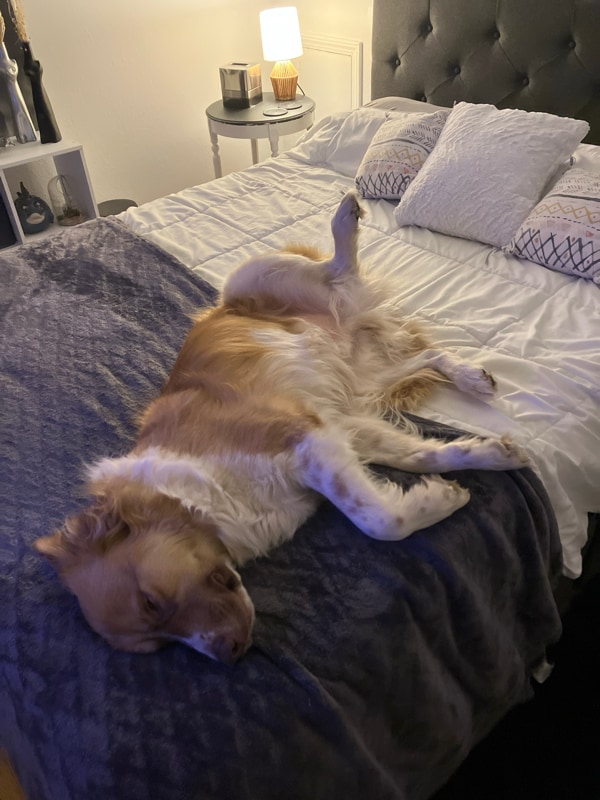 Building Photo - 424 S 69th E Ave