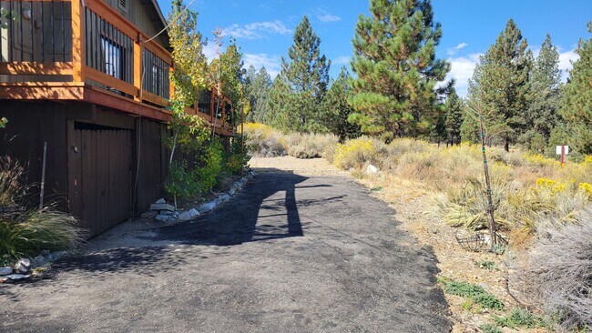 Building Photo - 3 Bedroom Home with Mountain Views Bordering National Forest