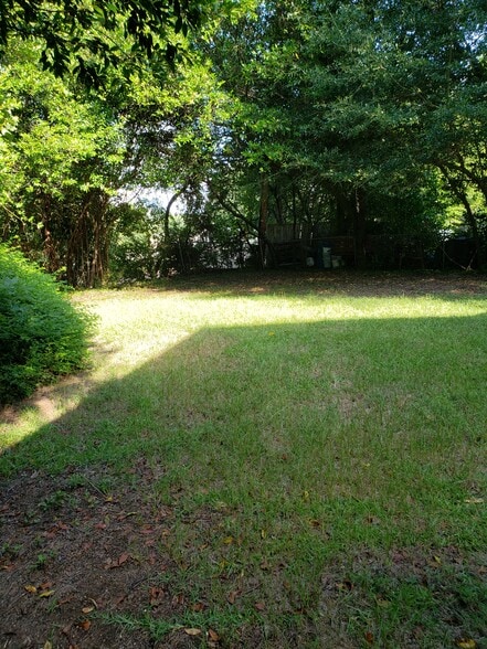 Back Yard - 2800 Grace St