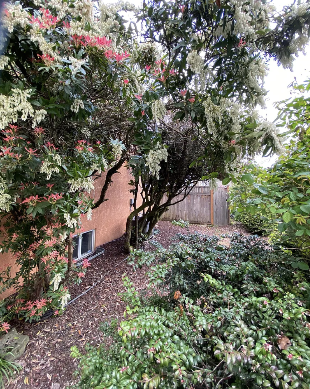 Miller street side - 7955 SE Milwaukie Ave