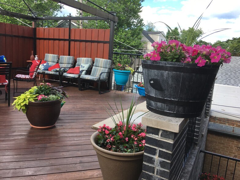 Communal rooftop deck - 2216 W Belmont Ave