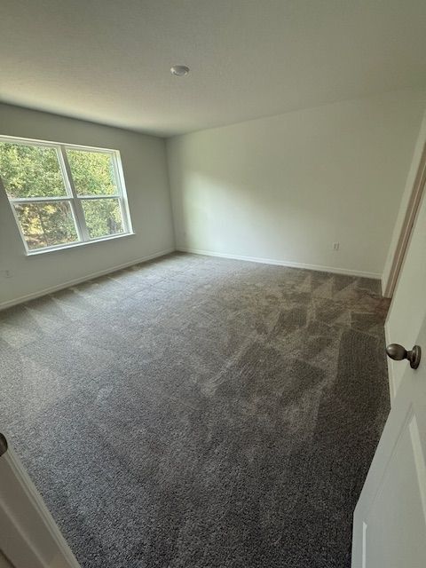 Building Photo - 5236 Luisa Ct