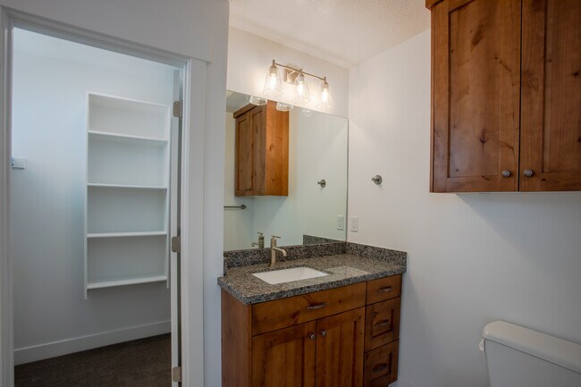 Master vanity and entrance to walk in closet. - 361 W Reed Ave