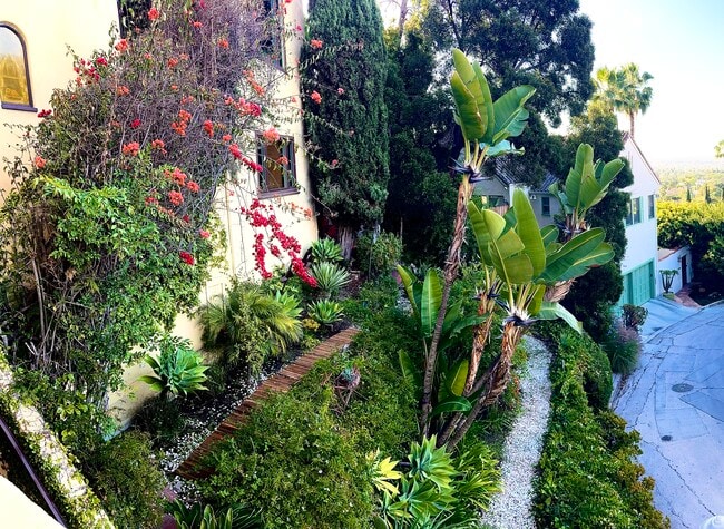 Front garden - 1760 N Fairfax Ave