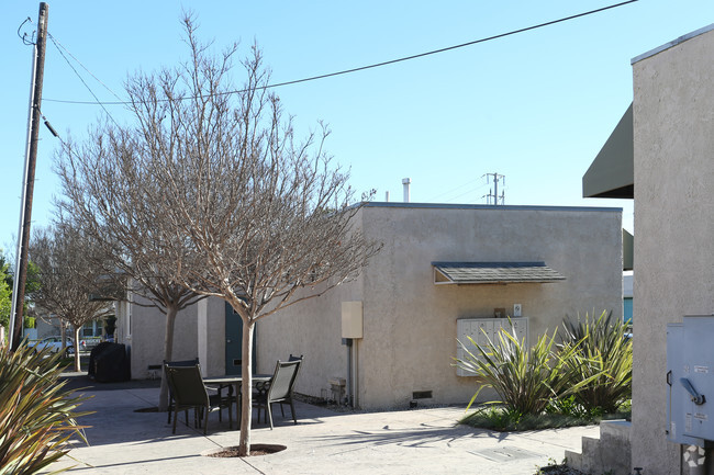 Building Photo - 1002 Marine St