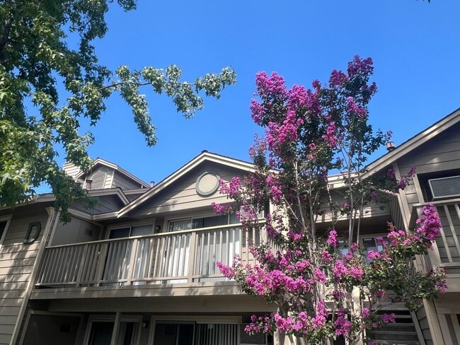 Building Photo - Extremely Well Maintained Upstairs 1/1 Condo Near Light Rail Now Available!