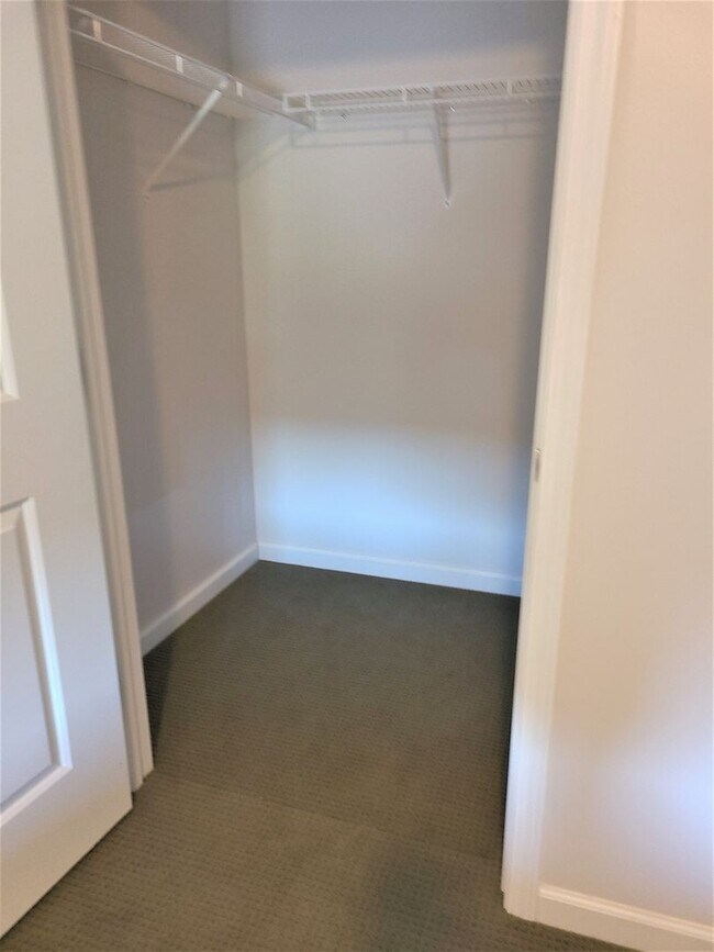 Building Photo - PET FREE Spacious 1 Bedroom Apartment