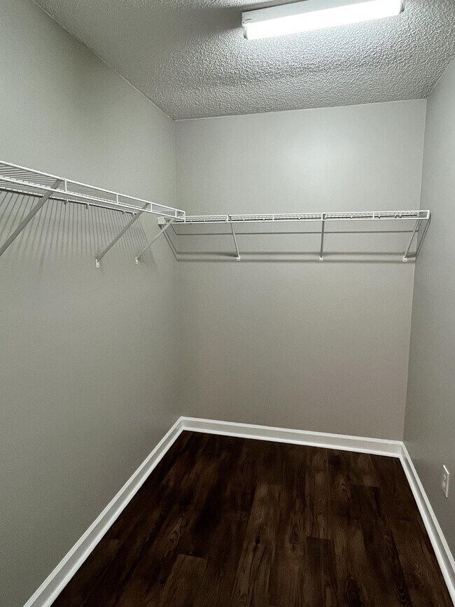 Building Photo - 325 Kingville Dr