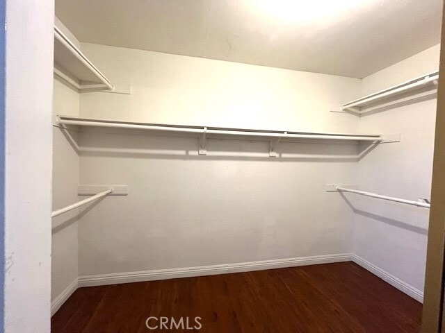 Building Photo - 928 Whitewater Dr