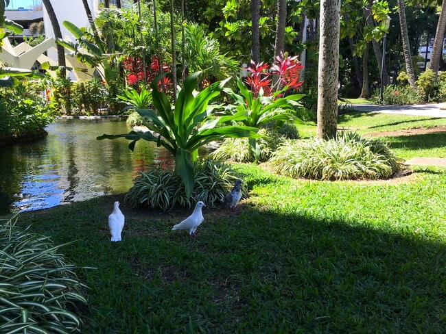 Building Photo - 2/2/2 Liliuokalani Gardens condo, Waikiki, Spacious, Great Views & Amenities