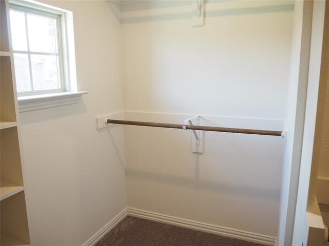 Building Photo - 3128 Solana Cir