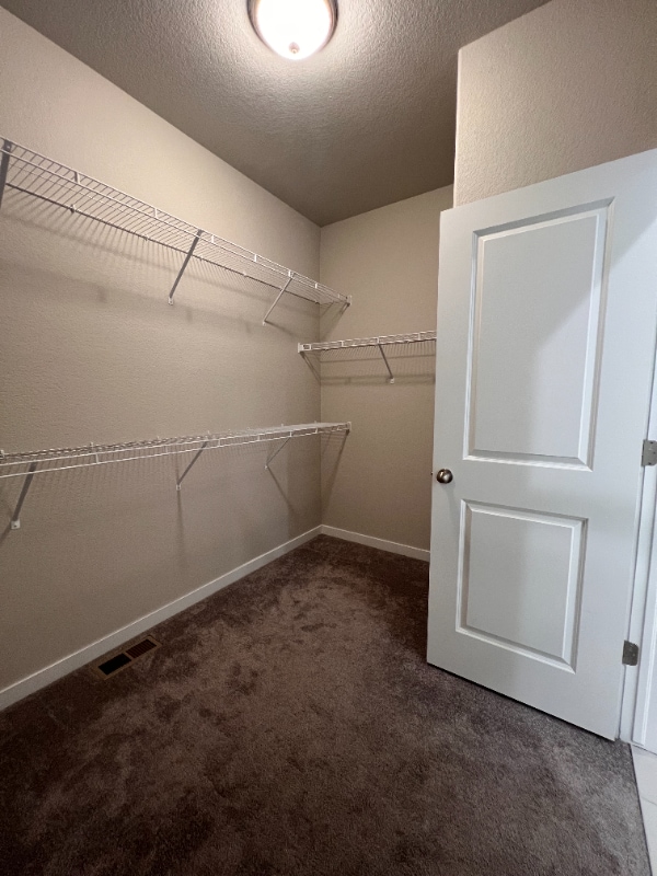 Building Photo - 3891 Ivy Hill Dr