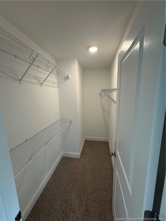 Building Photo - 81 Reece Dr
