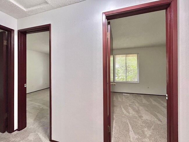 Building Photo - Bright and Open 3 Bed, 1 Bath House!