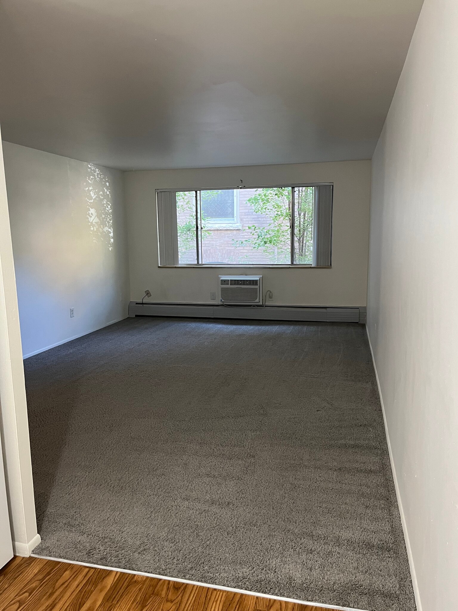 Living Room - 926 N Marion St