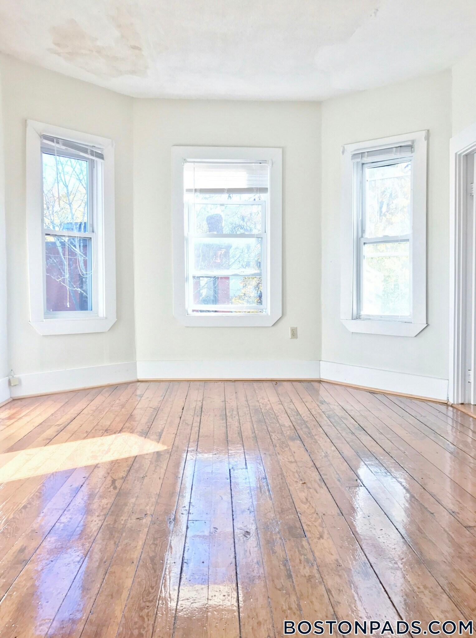 Building Photo - 123 Brook St