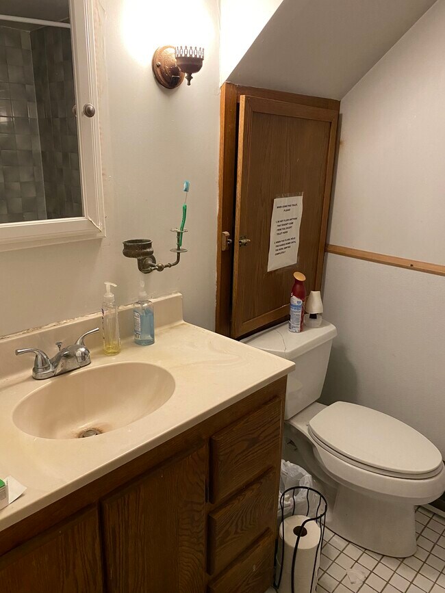 Lower Level Full Bathroom - 917 E Ann St