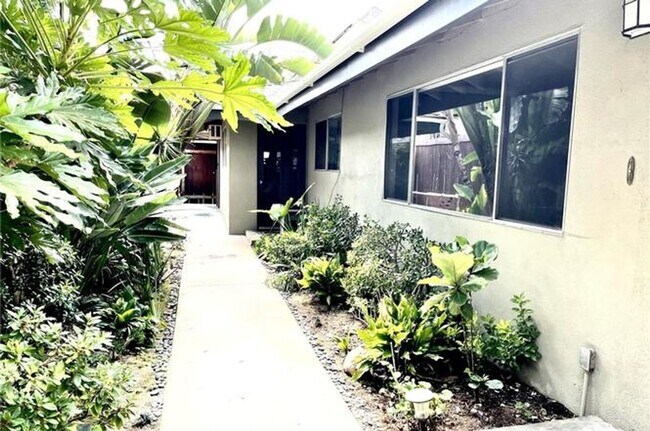 Building Photo - Beautiful Modern Belmont Shore Home