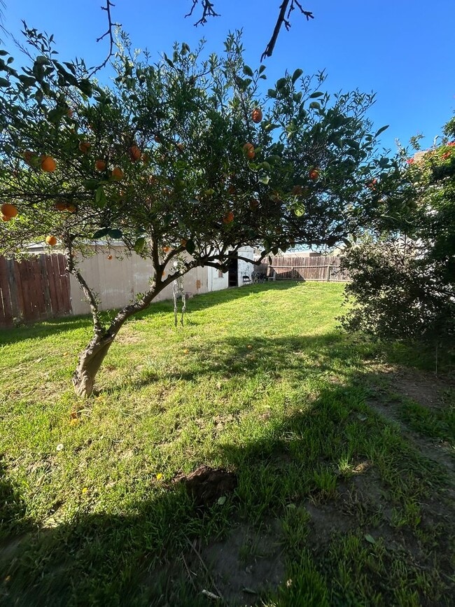 Building Photo - Move in Ready in North Hanford Central air/heat, lawn service included