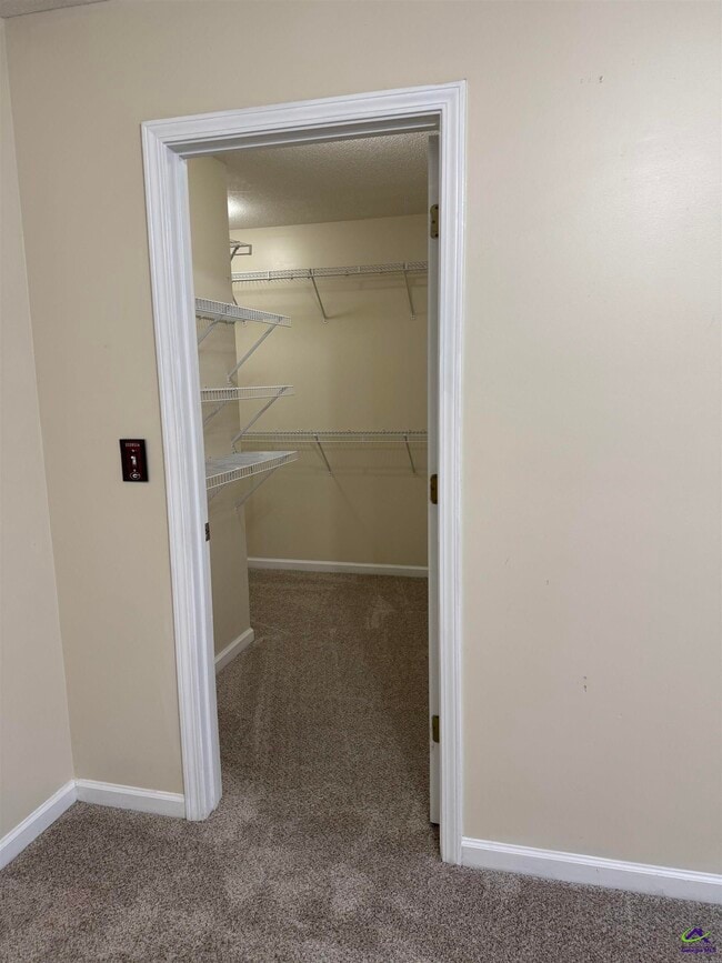 Building Photo - 109 Candy Ln