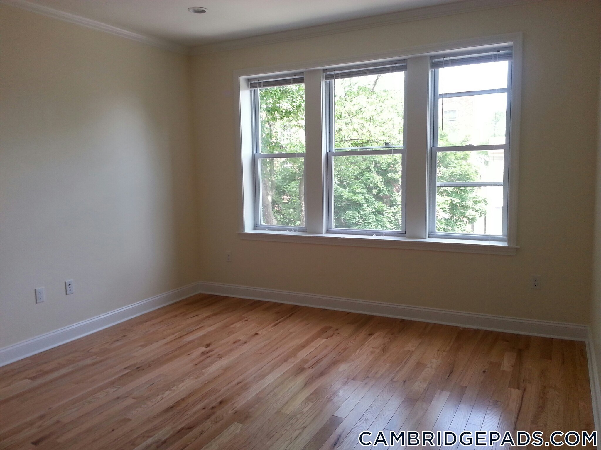 Building Photo - 3 Chauncy St