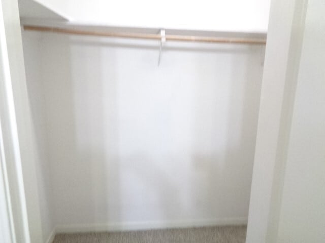 Building Photo - 5502 Deep Forest Dr