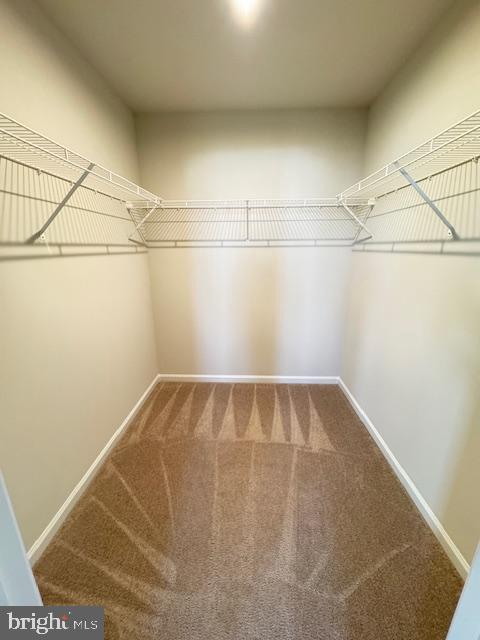 Building Photo - 488 Switchgrass Ct