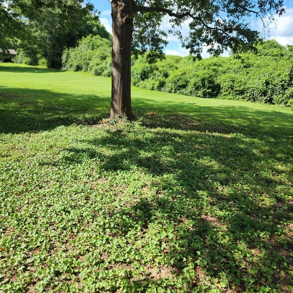 Building Photo - 2573 Millvalley Dr