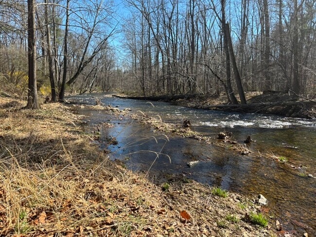 Building Photo - Rare Oasis: 2BR Home with Large Loft Area on 1.5 Acres Bordering National Forest and Fronting Dry...