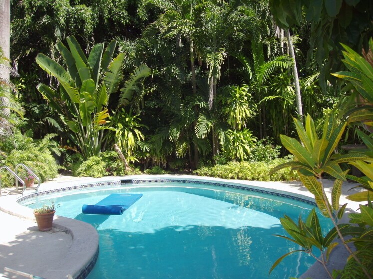 pool - 3761 Crawford Ave
