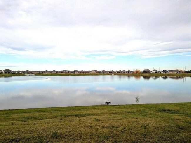 Building Photo - 6219 Pelican Ridge Wy