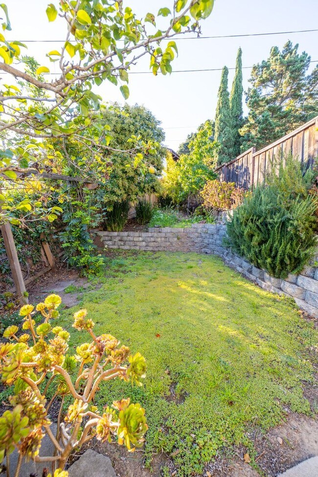 Building Photo - Beautiful 3 bedroom home with Castro Valle...