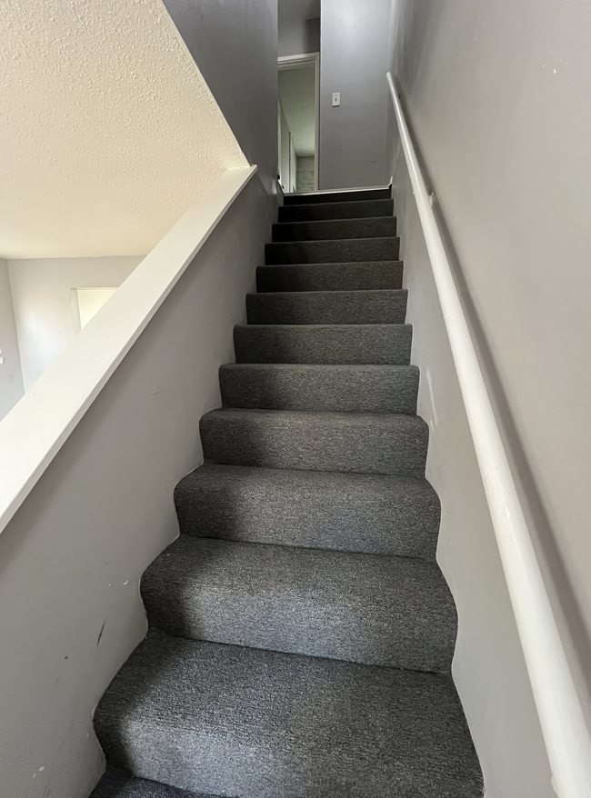 Stairs-New carpet - 9235 Nieman Rd