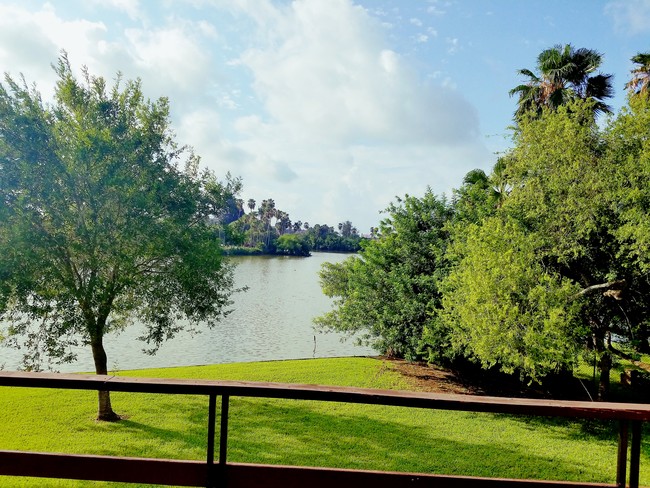 Building Photo - Lakeside Apartments