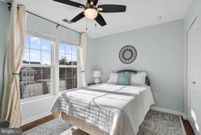 Building Photo - 2443 Blue Spring Ct