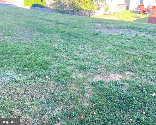 Building Photo - 83 Fuzzy Tail Dr