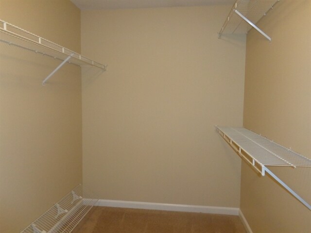 Building Photo - 1536 Cardinal Ln