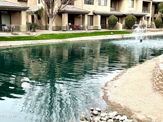 Building Photo - 705 W Queen Creek Rd