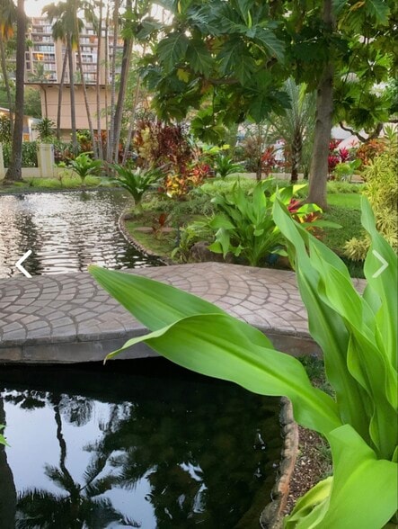 Koi Ponds - 300 Wai Nani Way