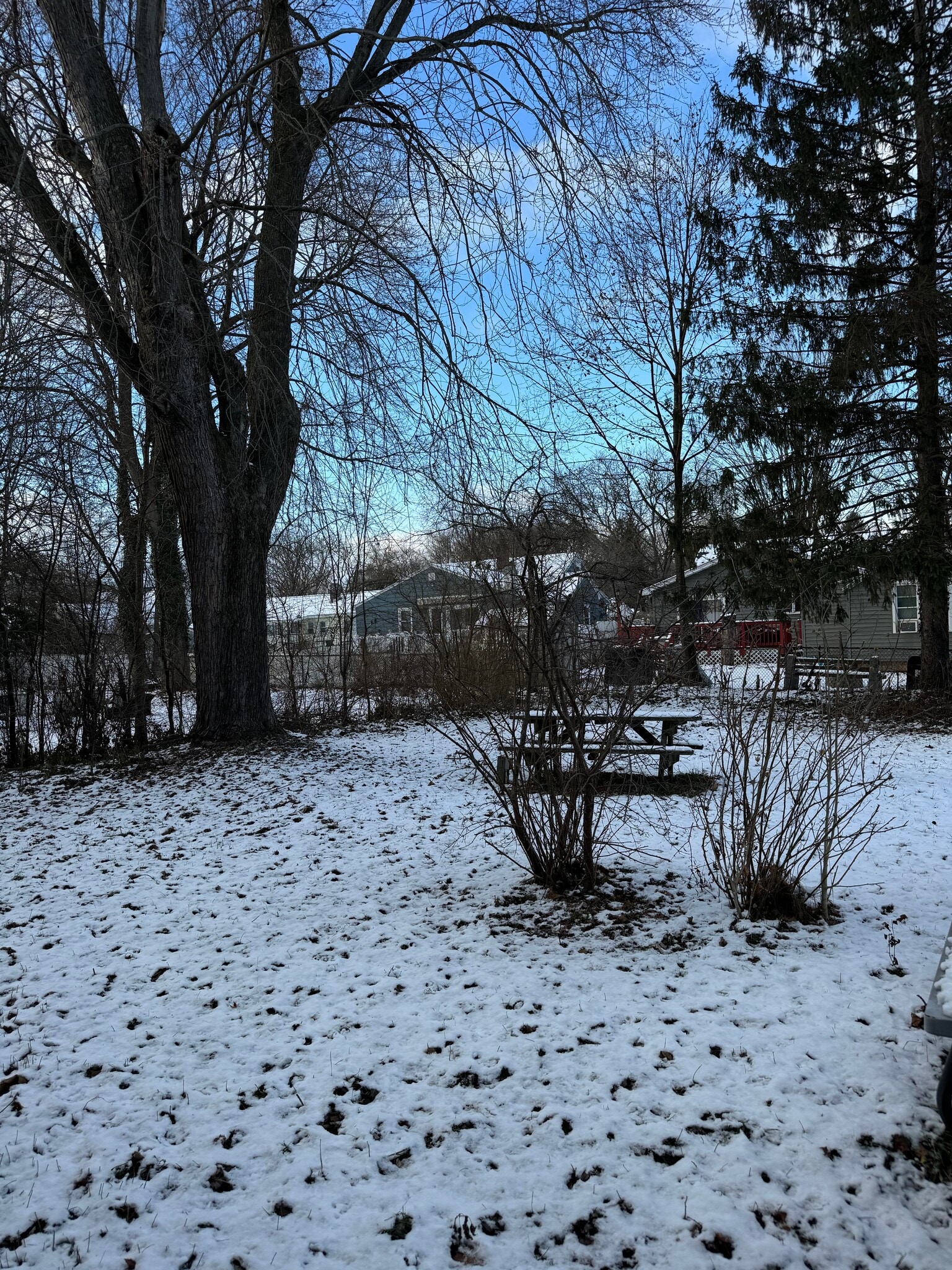 Backyard from walkout basement - 206 Longmeadow Dr