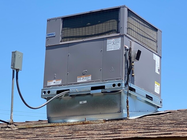 Building Photo - Spacious Home in Blue Zone Loma Linda!