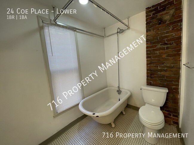 Building Photo - Spacious Lower 1 Bedroom Available Now!