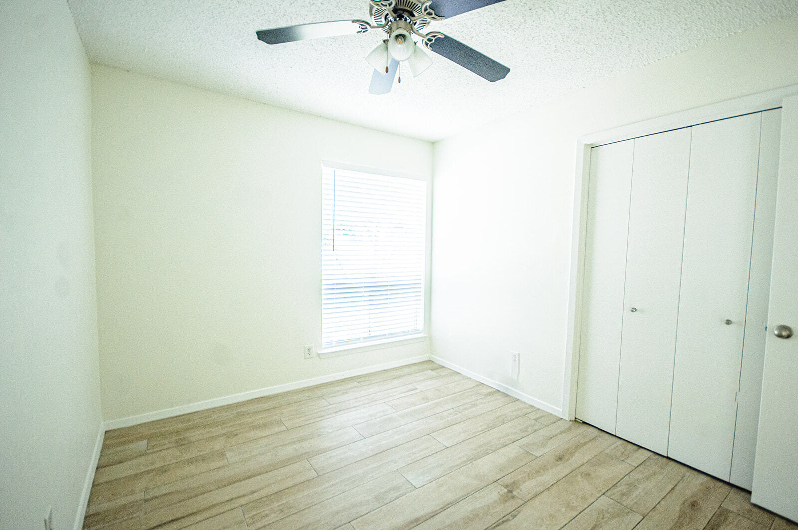 Building Photo - 6208 Glen Meadow Dr