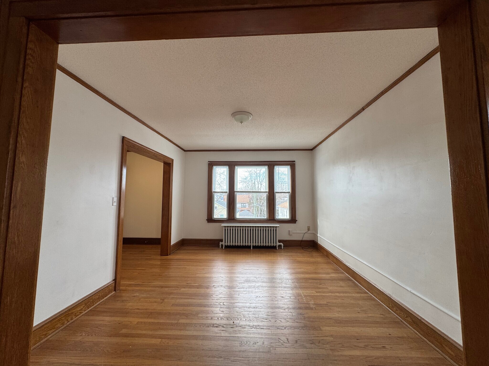 Living room - 34 Nesbit Ave