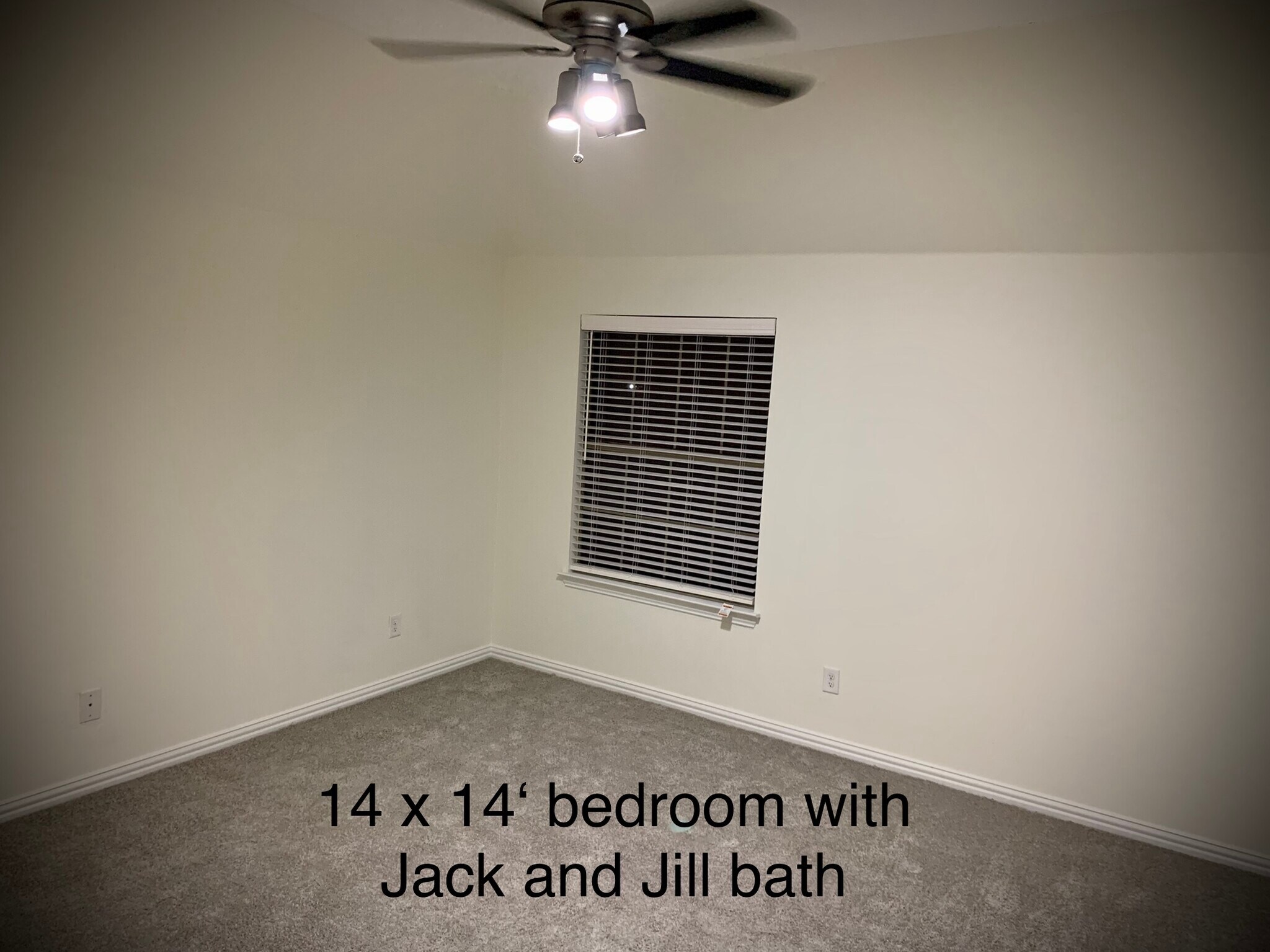 Building Photo - 1305 Miami Dr