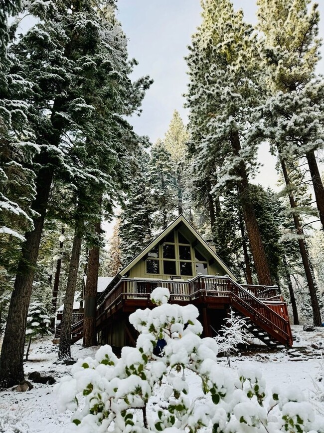 Building Photo - SKI LEASE "Honey Bear Cabin"