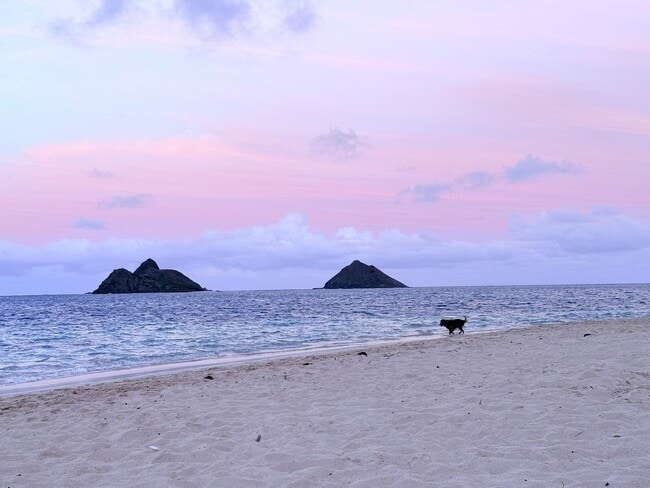 Building Photo - Quiet Neighborhood, Large 1bd/1ba, Lanikai...