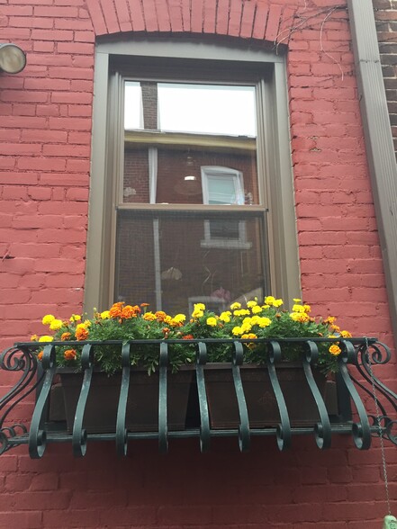 Back patio window box filled with marigolds - 174 Cotton Way