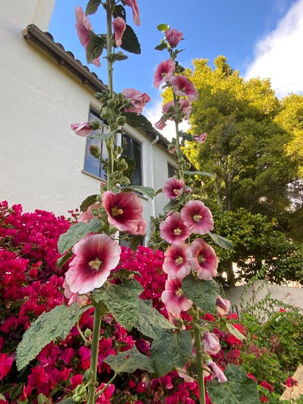 Building Photo - 1701 Le Roy Ave